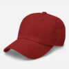 Cranberry