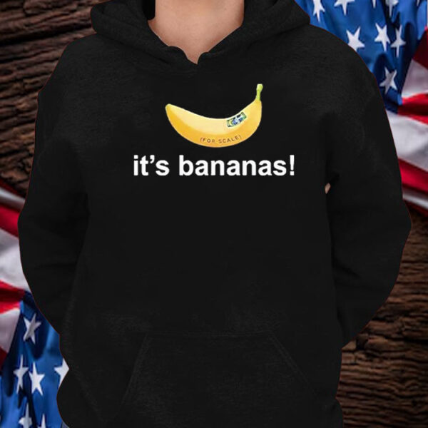 SpaceX Starship Flight 6 It’s Bananas T-Shirt