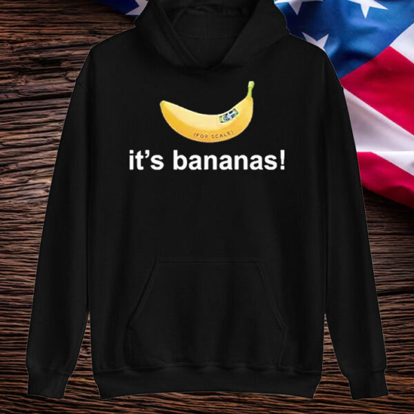 SpaceX Starship Flight 6 It’s Bananas T-Shirt